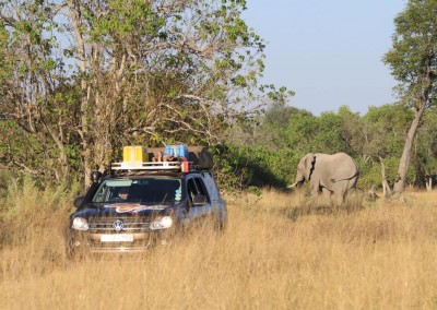 botswana_2015_08